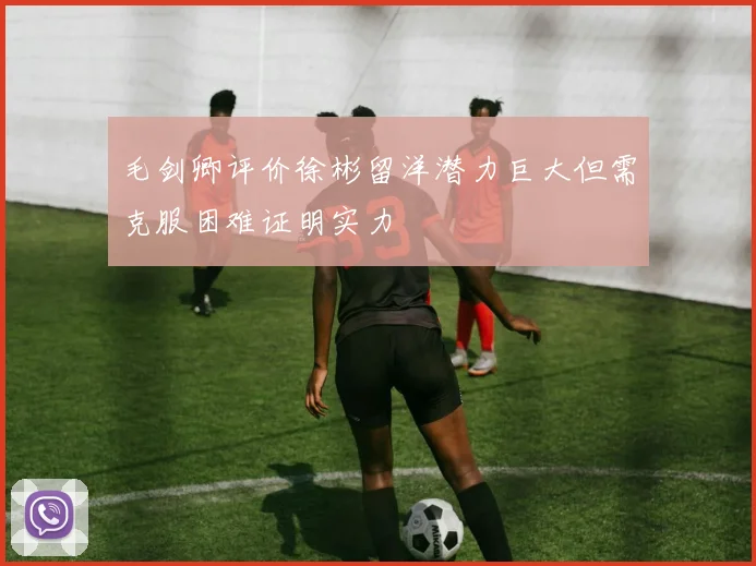 毛剑卿评价徐彬留洋潜力巨大但需克服困难证明实力