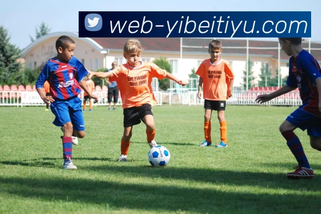 易倍体育发展历程